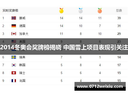 2014冬奥会奖牌榜揭晓 中国雪上项目表现引关注